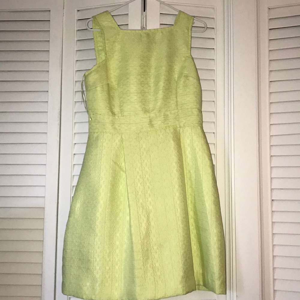 Skater Dress